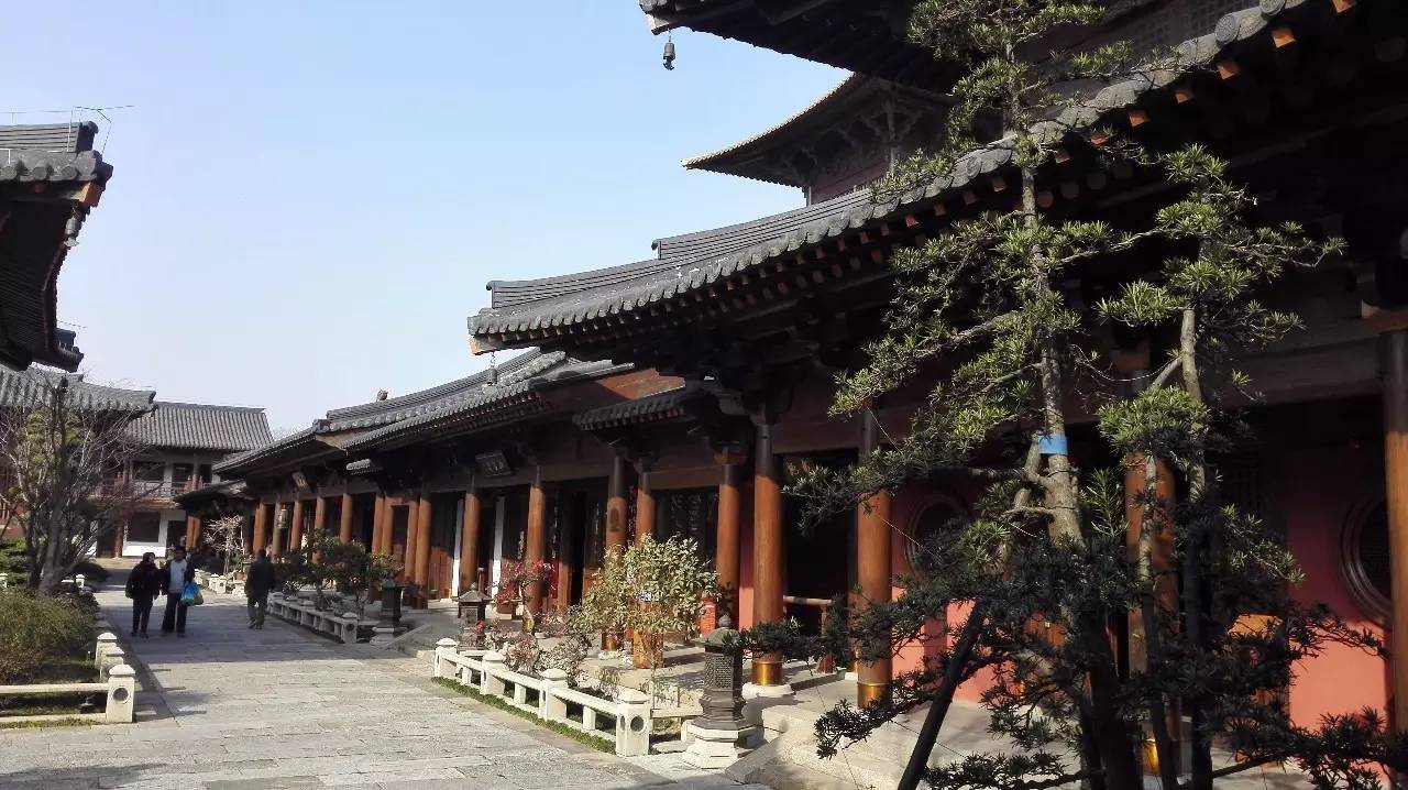 膩害了，上海有座40000㎡的水下博物館