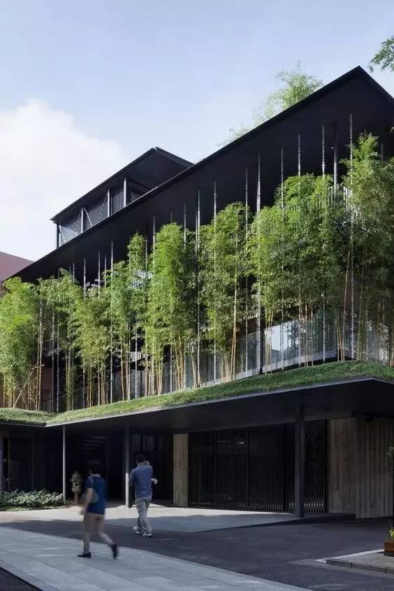 木格柵建筑，次序中的美
