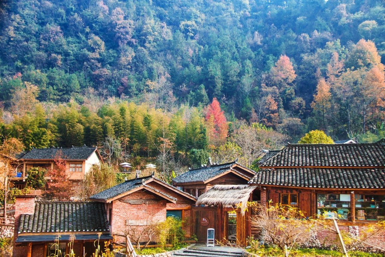 張家界·五號(hào)山谷，山谷在重生！