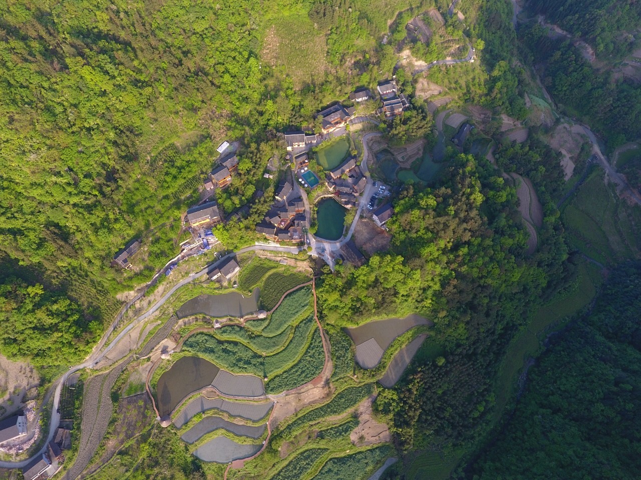 張家界·五號(hào)山谷，山谷在重生！