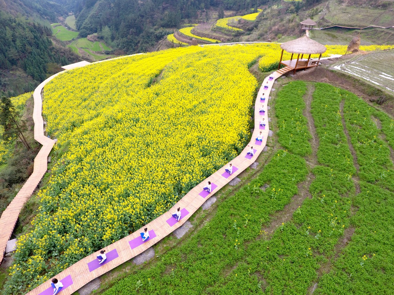 張家界·五號(hào)山谷，山谷在重生！