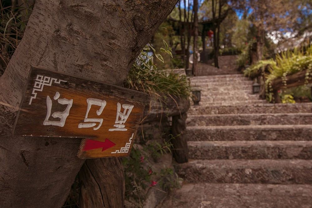 麗江·白馬里，千年古城化作最美背景
