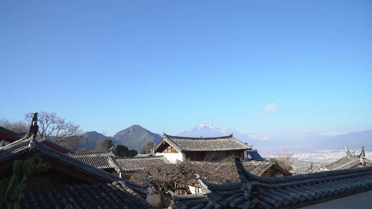 麗江·靈凈山舍，一花一木一世界！