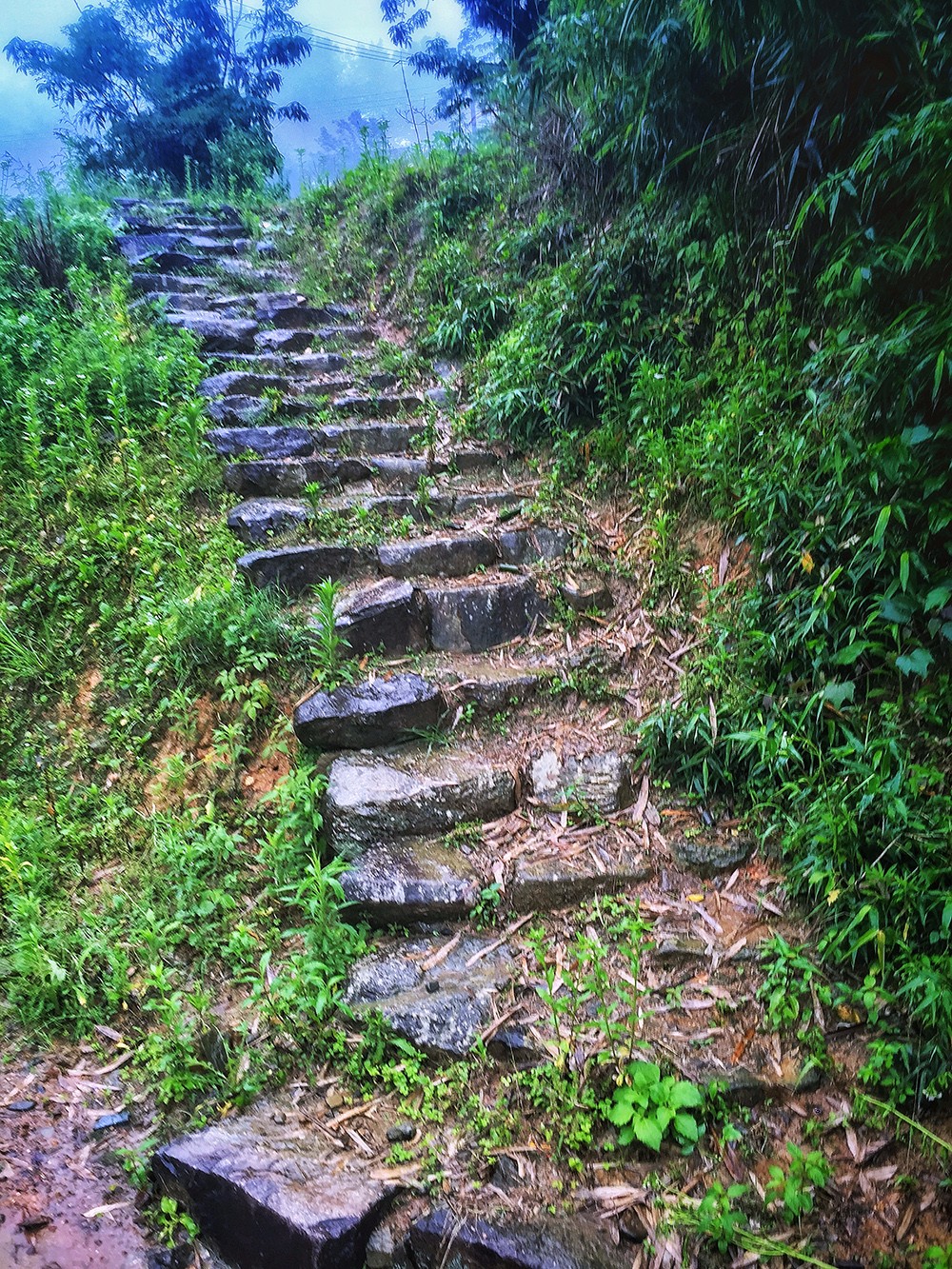 過(guò)云山居·長(zhǎng)丘田，躺在浴缸里摘朵云