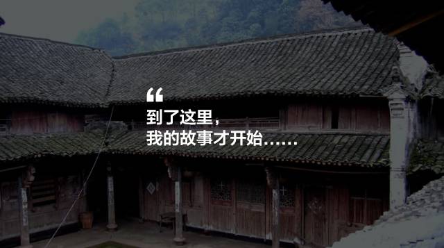 寧波·花雨醉，品花間一壺酒聽雨后醉朦朧