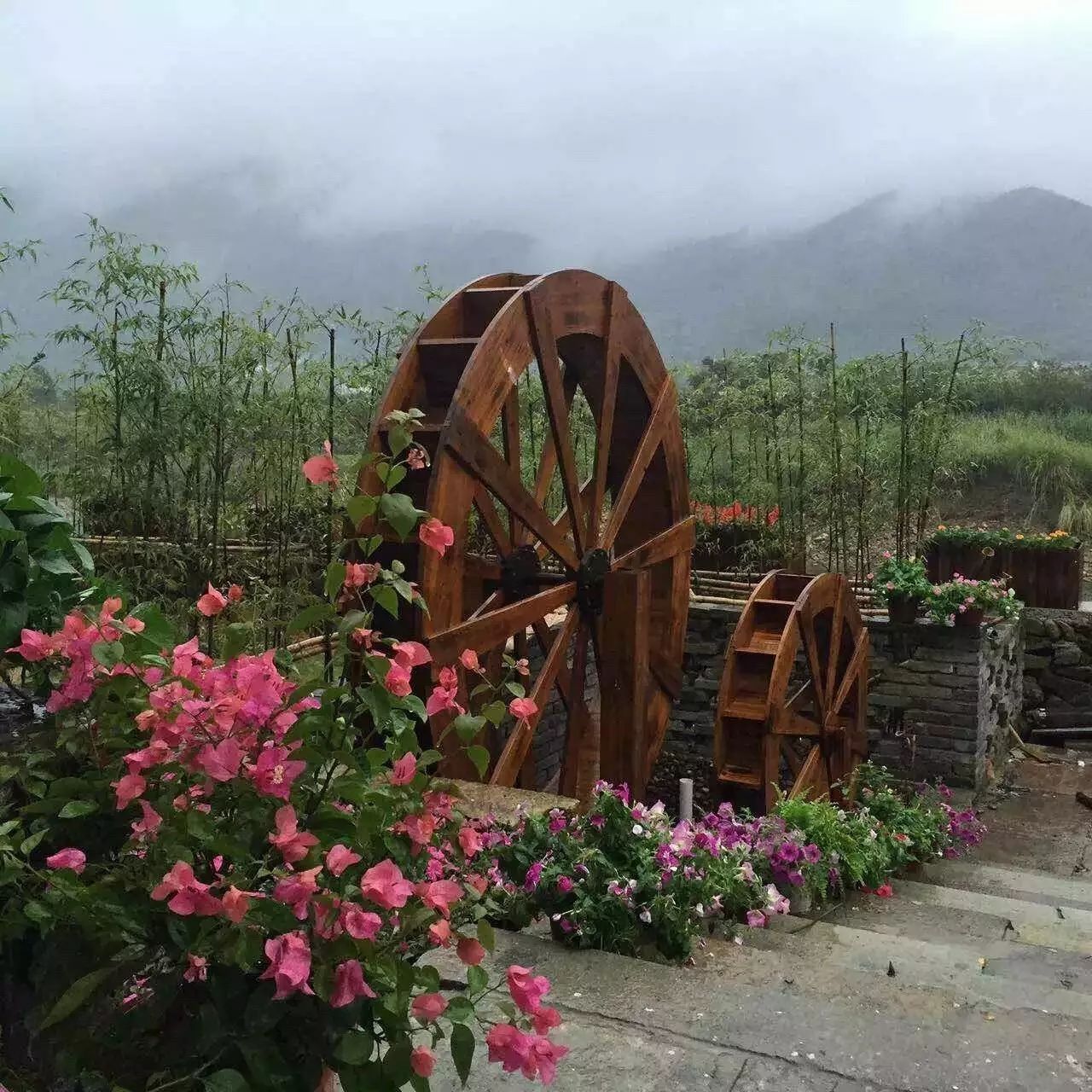 寧波·花雨醉，品花間一壺酒聽雨后醉朦朧