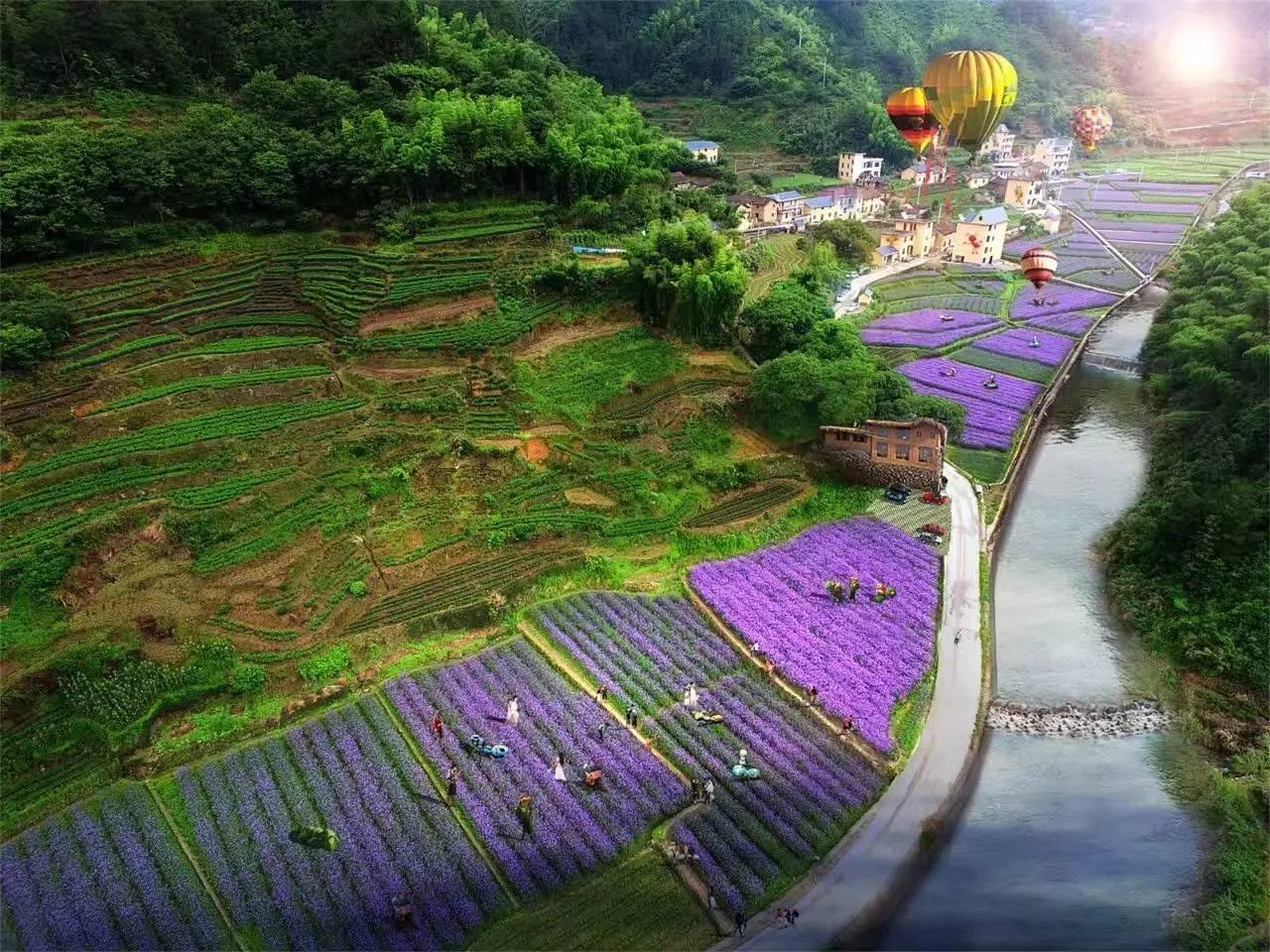 螞蟻尚墅，在山谷的花田美舍里生活