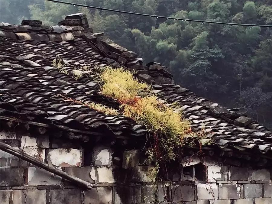 棲霞山居，溪流環(huán)繞在古村落捕魚看霞光