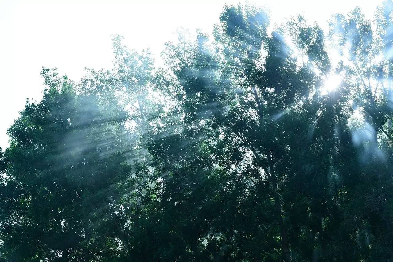 松贊拉薩曲吉林卡，用松贊的方式重走拉薩