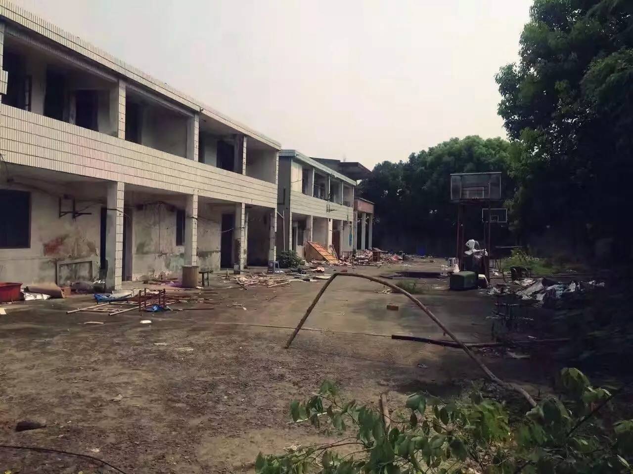 上海四舍，遠(yuǎn)離城市溫暖自由靈魂的世外江湖