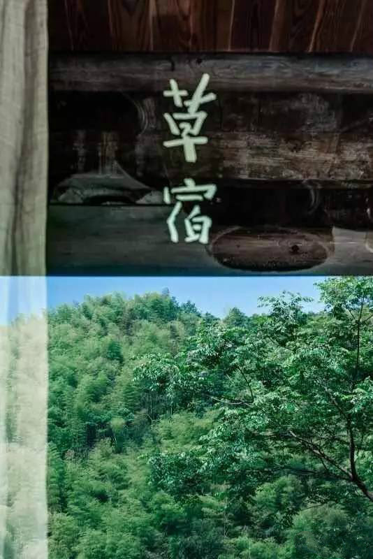 草宿民宿，愿做一顆草向往山間無拘無束的生活