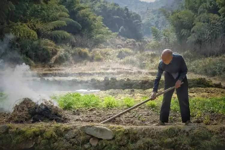 草宿民宿，愿做一顆草向往山間無拘無束的生活