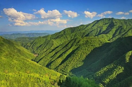 竹里云溪民宿設計，回歸田園