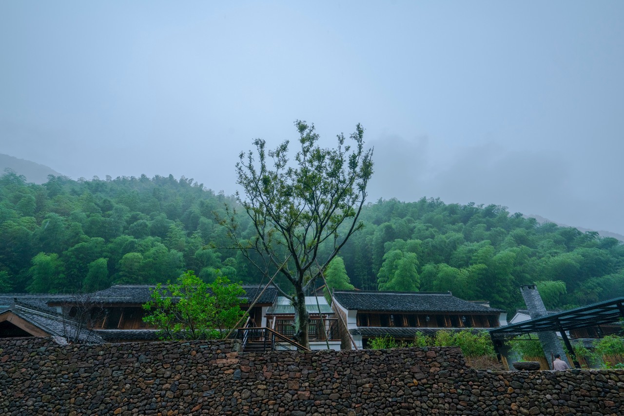龍觀禪那，靈魂安放之處的民宿