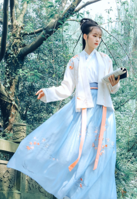 傳統(tǒng)漢服褙子褶裙，宋制繡花楓葉裙