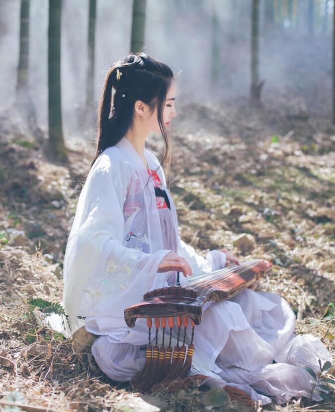 魏晉風(fēng)女裝繡花大袖衫，復(fù)古中國風(fēng)漢服圖片