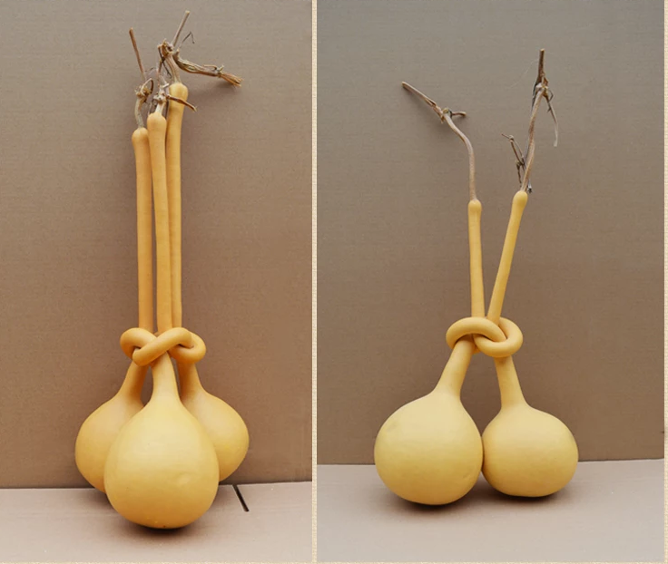 驚呆了，造型獨(dú)特的葫蘆工藝品