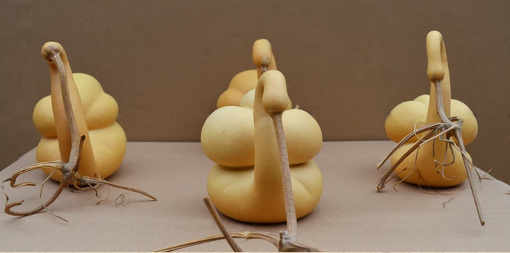 驚呆了，造型獨(dú)特的葫蘆工藝品