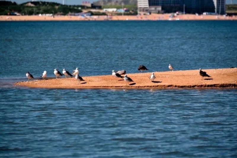 風(fēng)景游玩攻略：11個絕美海島路線約嗎？