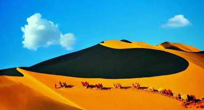 《天邊的駱駝》，震撼的沙漠風(fēng)景之美!
