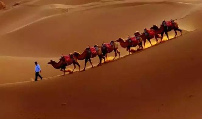 《天邊的駱駝》，震撼的沙漠風景之美!