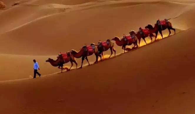 《天邊的駱駝》，震撼的沙漠風景之美!