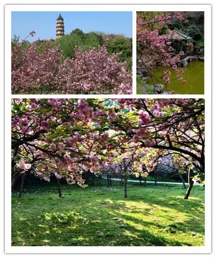 唯美風(fēng)景圖片，踏青游玩美翻天！