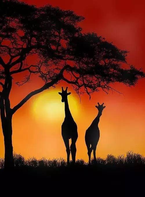 美到骨子里的夕陽風景：青山依舊在，幾度夕陽