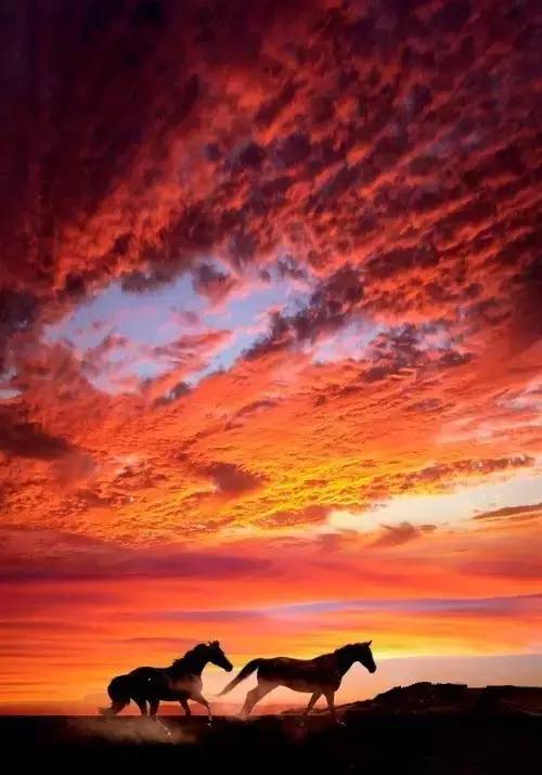 美到骨子里的夕陽風(fēng)景：青山依舊在，幾度夕陽