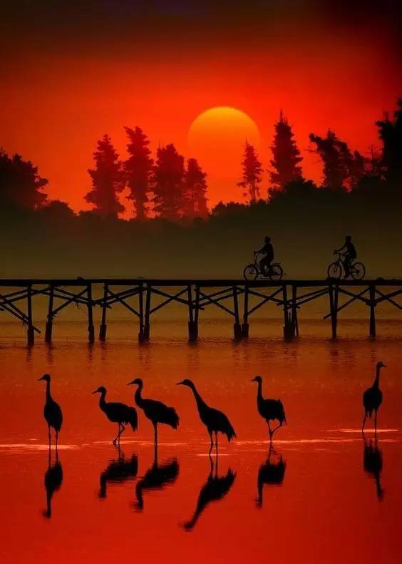 美到骨子里的夕陽風(fēng)景：青山依舊在，幾度夕陽
