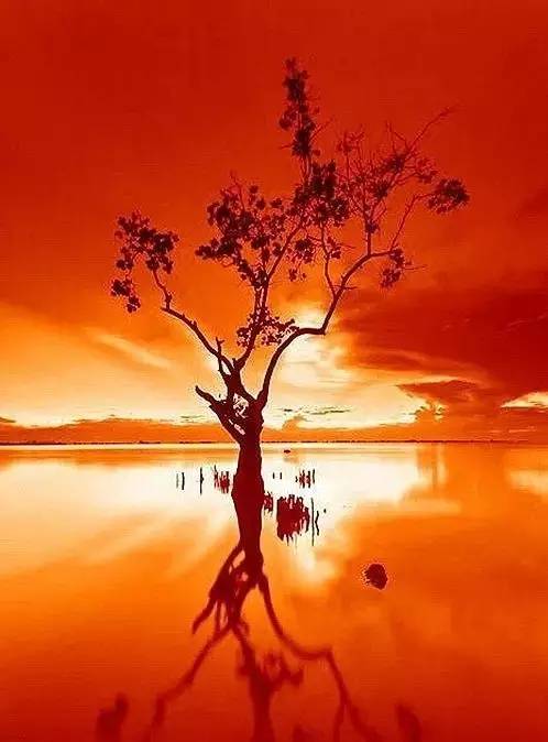 美到骨子里的夕陽風(fēng)景：青山依舊在，幾度夕陽