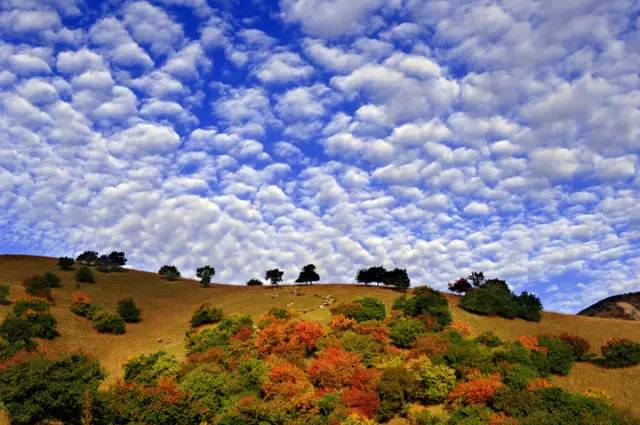 十處優(yōu)美的山水風(fēng)景，錦繡山河如詩如畫！