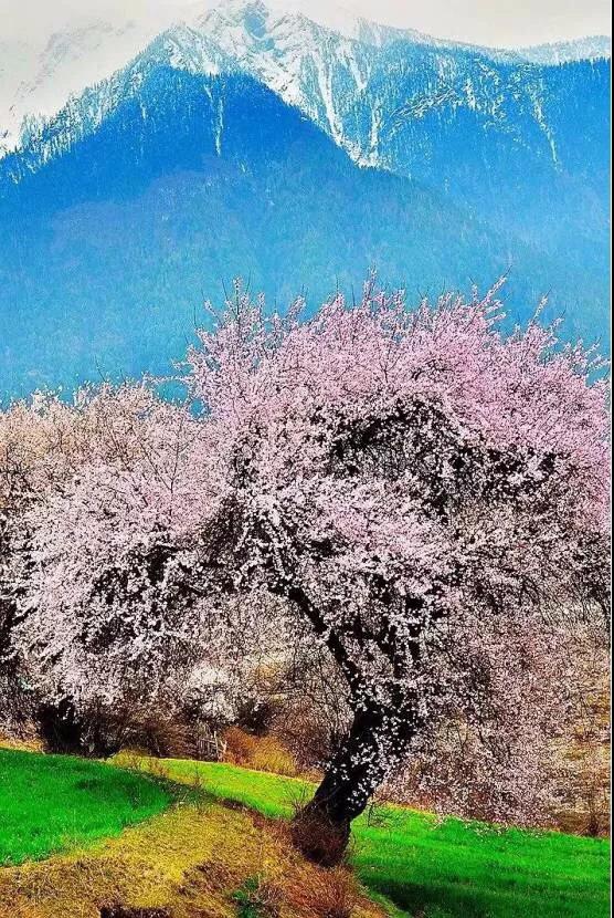 8處風景如詩如畫，春天最值得去的地方！