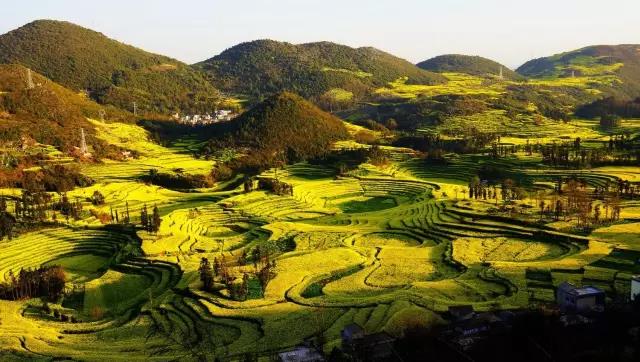 8處風(fēng)景如詩(shī)如畫(huà)，春天最值得去的地方！