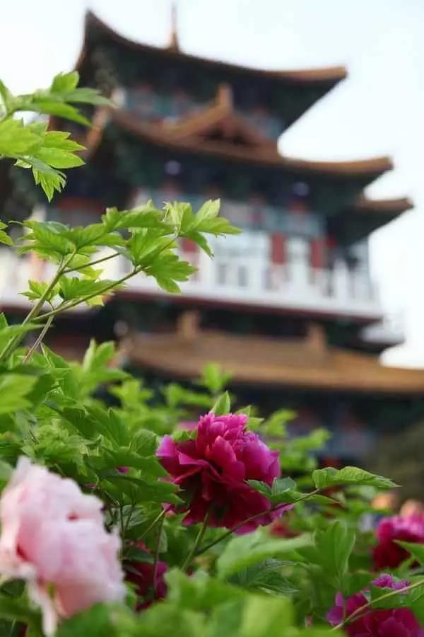 8處風(fēng)景如詩(shī)如畫(huà)，春天最值得去的地方！