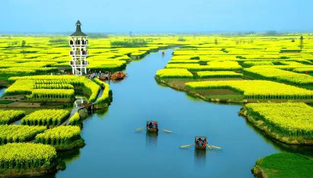 美到窒息的中國(guó)最美油菜花海，邂逅花海風(fēng)景！