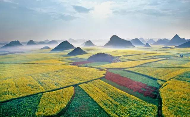 美到窒息的中國(guó)最美油菜花海，邂逅花海風(fēng)景！