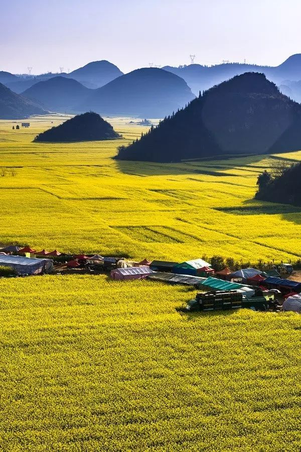 美到窒息的中國(guó)最美油菜花海，邂逅花海風(fēng)景！