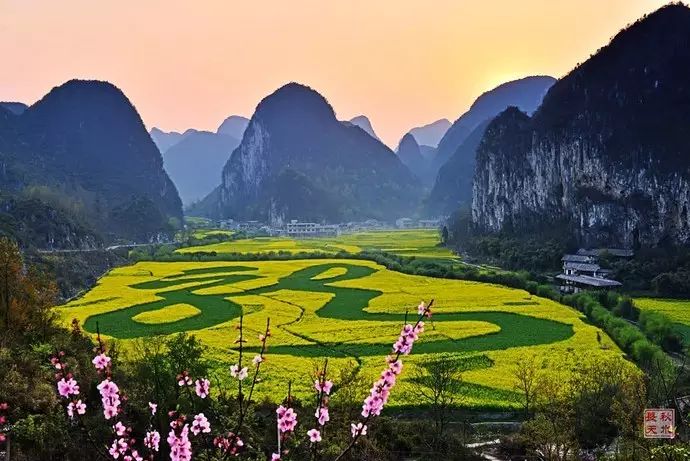 美到窒息的中國最美油菜花海，邂逅花海風景！