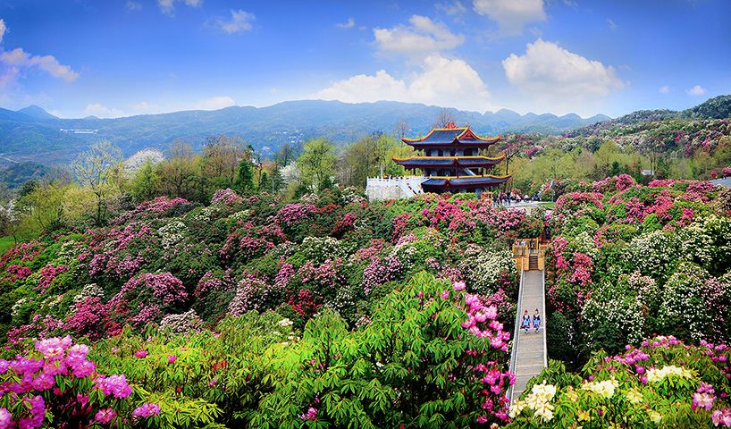 最美貴州風(fēng)景，用山水風(fēng)景點(diǎn)亮貴州文化！