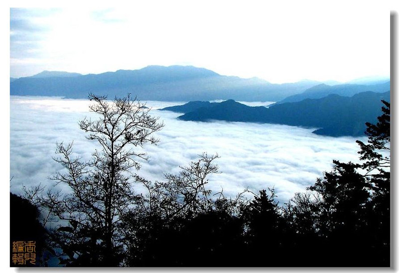 臺灣阿里山風光攝影欣賞