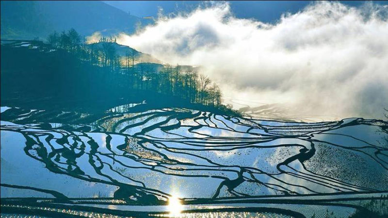 藍(lán)色的元陽(yáng)梯田風(fēng)光攝影