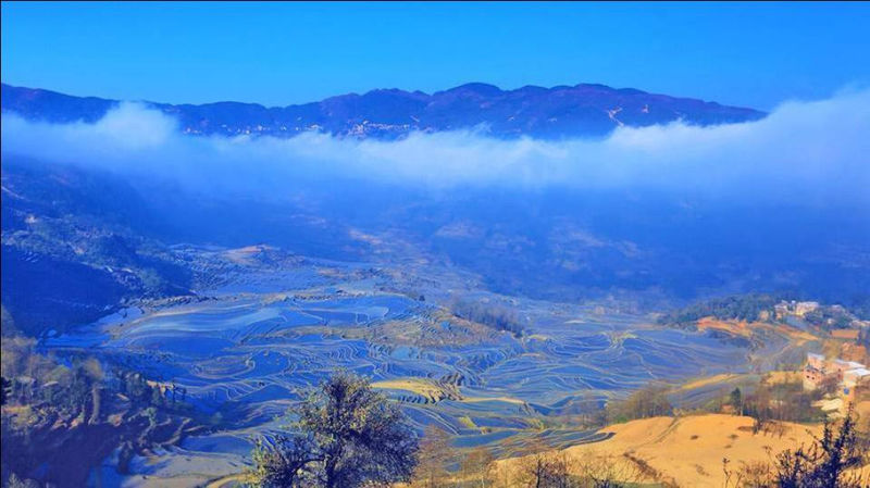 藍(lán)色的元陽(yáng)梯田風(fēng)光攝影