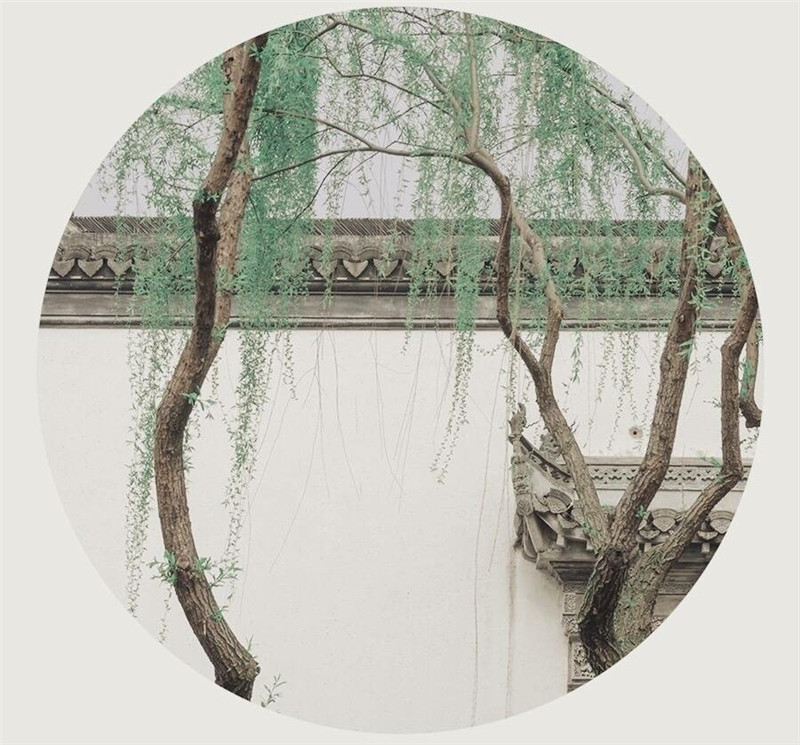 柳樹(shù)庭院風(fēng)景攝影圖片