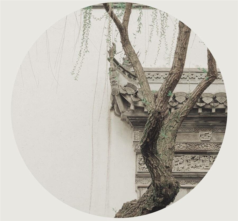 柳樹(shù)庭院風(fēng)景攝影圖片