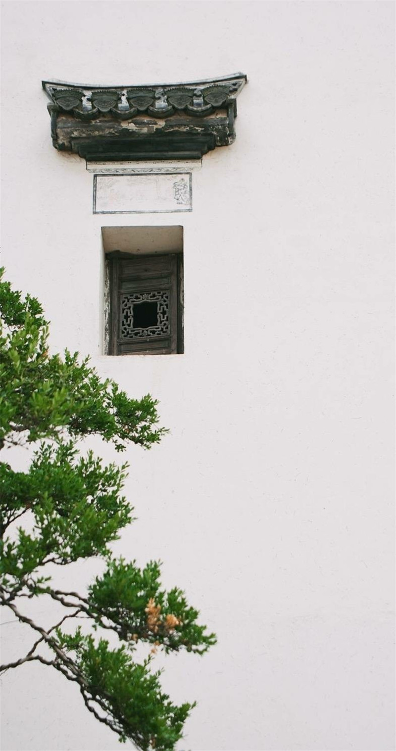 柳樹(shù)庭院風(fēng)景攝影圖片