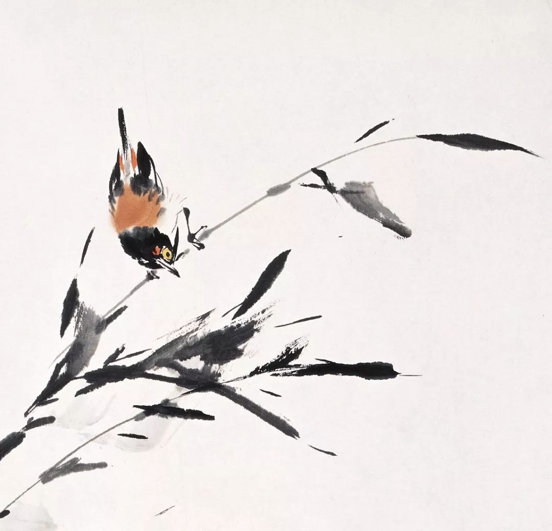 100幅禽鳥百圖，國畫鳥類美醉了！