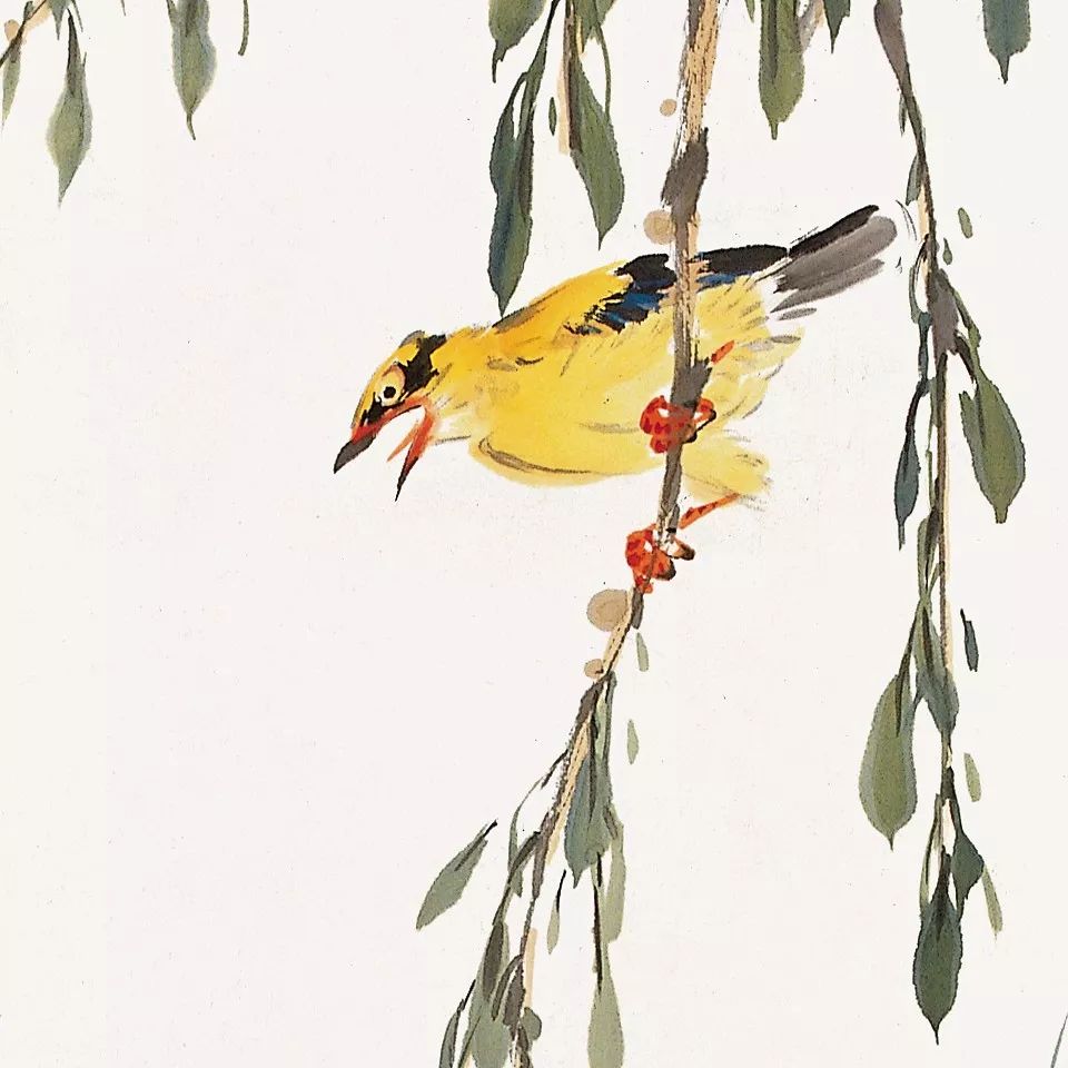 100幅禽鳥(niǎo)百圖，國(guó)畫(huà)鳥(niǎo)類(lèi)美醉了！