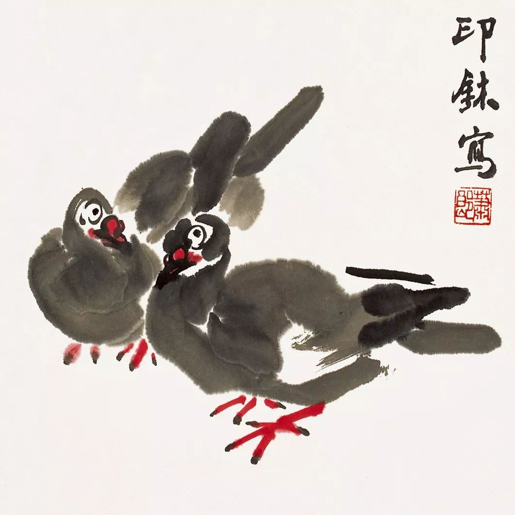 100幅禽鳥(niǎo)百圖，國(guó)畫(huà)鳥(niǎo)類(lèi)美醉了！