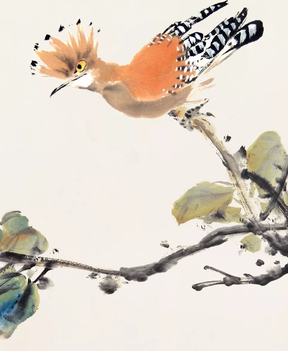 100幅禽鳥(niǎo)百圖，國(guó)畫(huà)鳥(niǎo)類(lèi)美醉了！